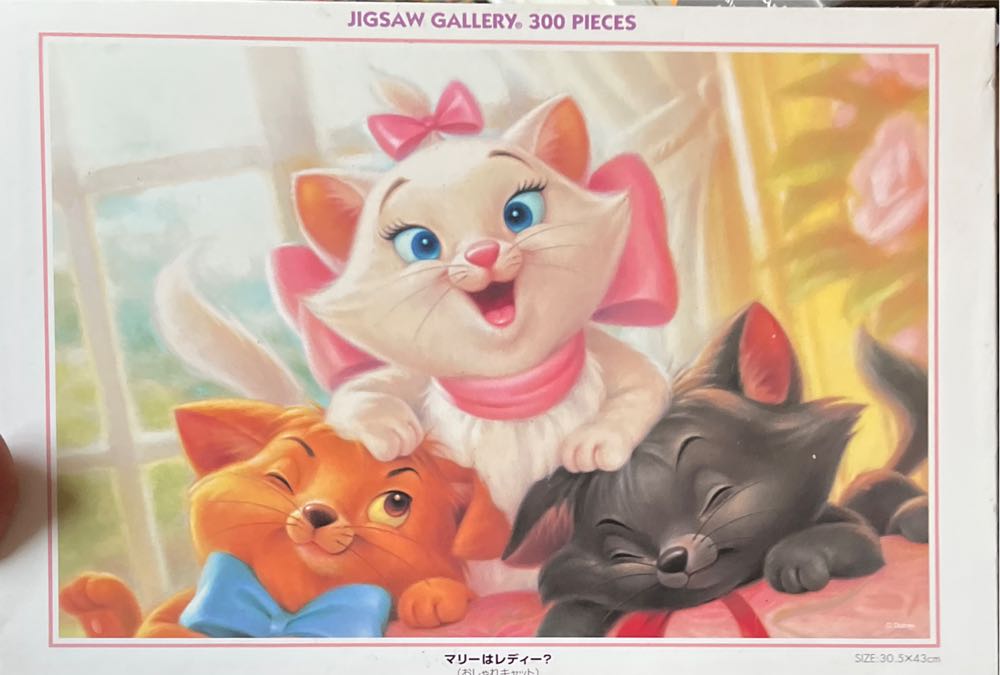 Ceaco Jaleel Campbell Just A Touch 550 Piece Jigsaw Puzzle