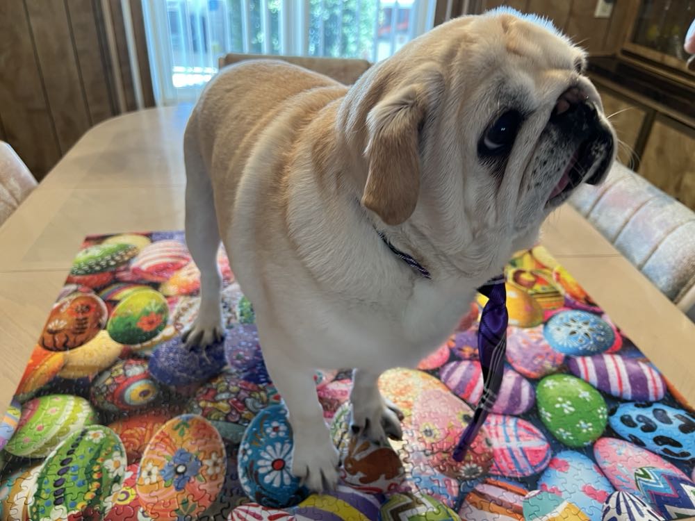 Easter Eggs - White Mountain puzzle collectible [Barcode 724819265282] - Main Image 4