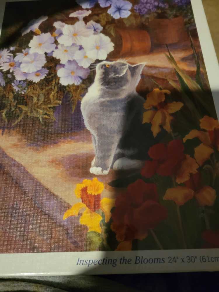 Good Old Days - 1021, 2/15/26-SOLD