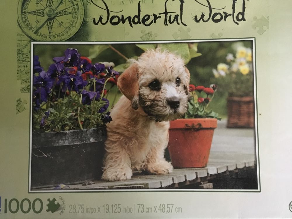 High Jinks In The High Seas!