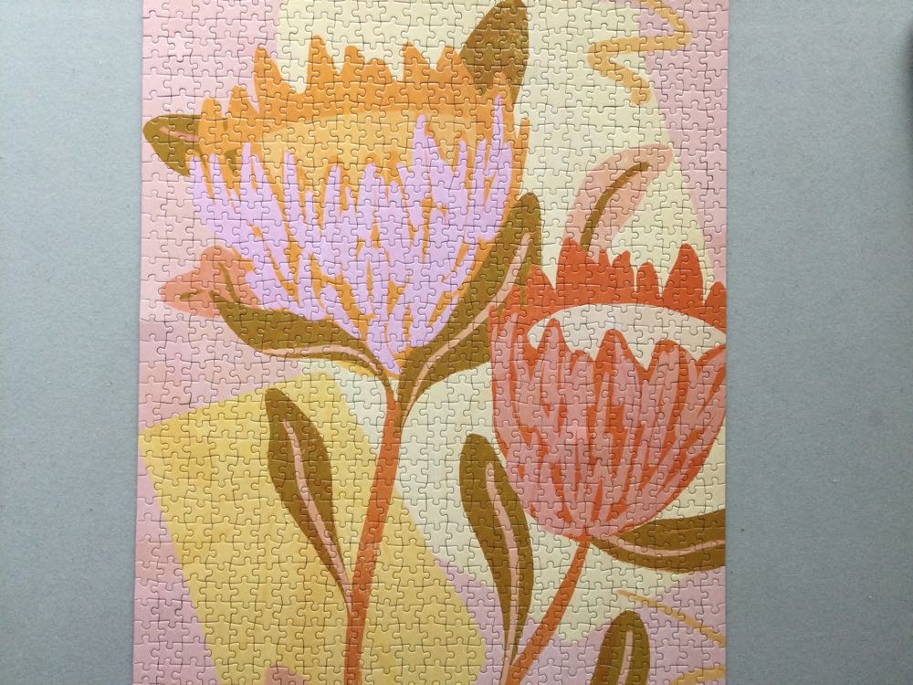 Wasgij - Strictly Can´t Dance!