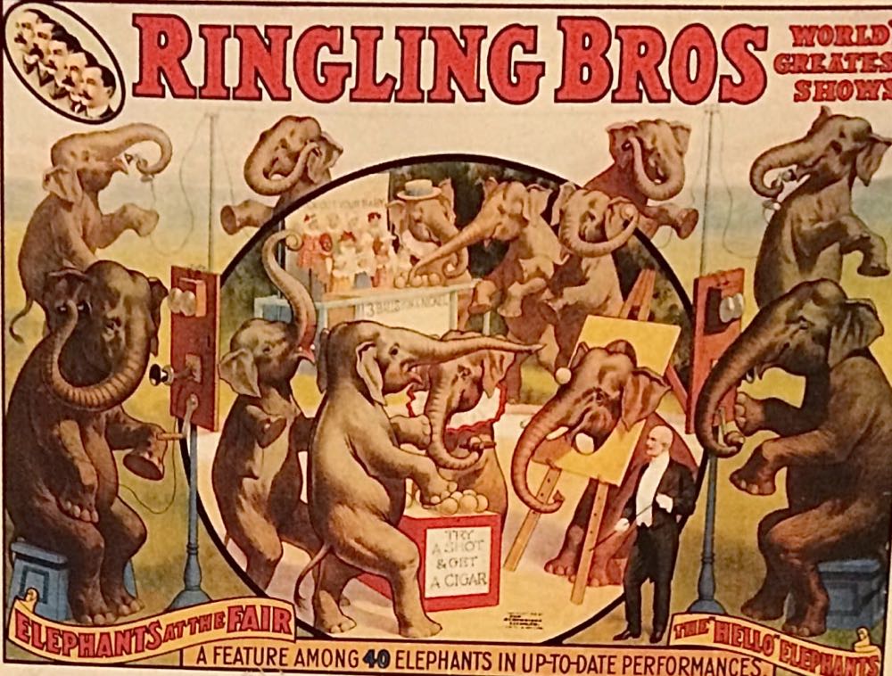 Mystery Of The Jungle