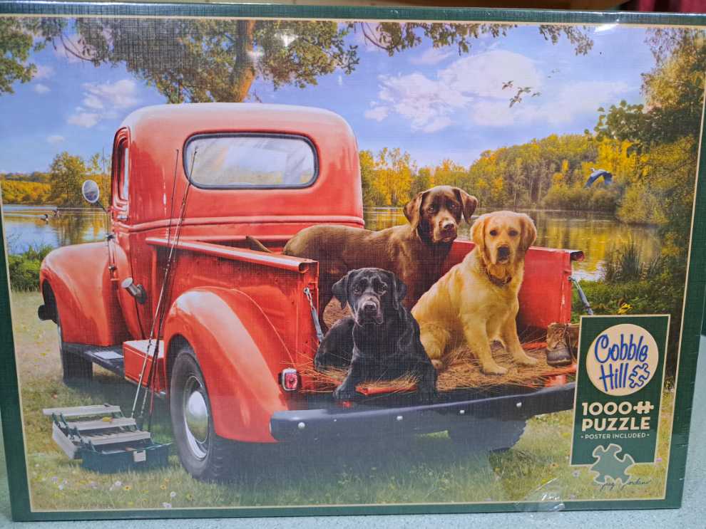 Fishing With Friends Piece - Cobble Hill puzzle collectible [Barcode 625012803755] - Main Image 2