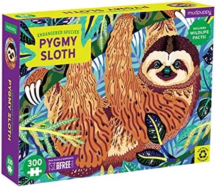 190645 Flowers In A Terracotta Vase