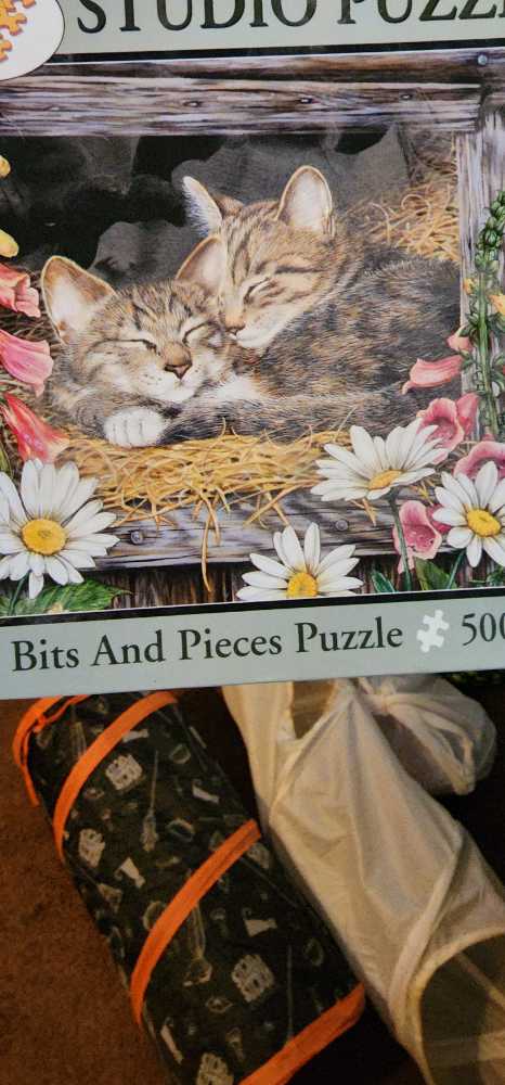 Pokemon - Kanto Starters