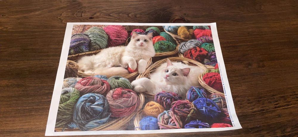 Ragdolls - Cobble Hill puzzle collectible [Barcode 625012880114] - Main Image 3