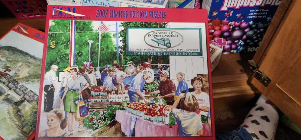 Mount Fuji Cherry Blossom View