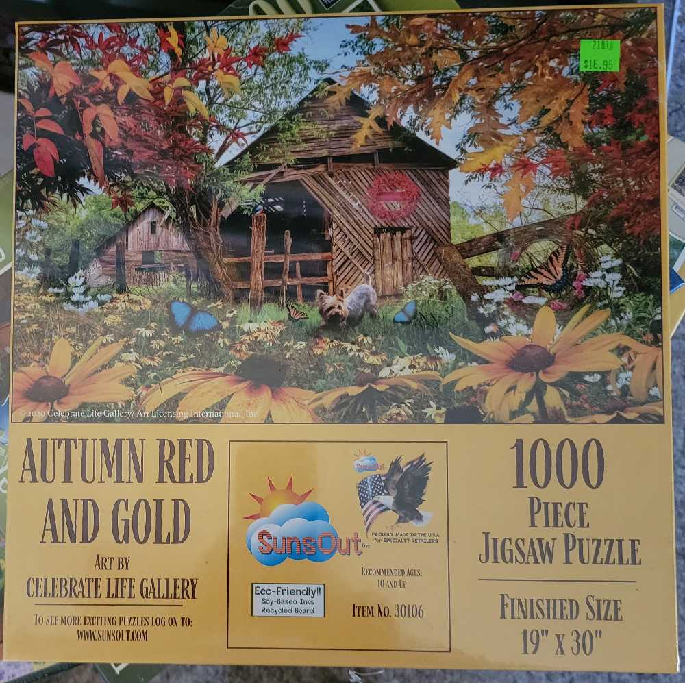 Washing Grandpa’s Car