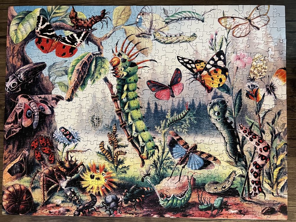 Metamorphosis - New York Puzzle Company puzzle collectible [Barcode 819844015527] - Main Image 2
