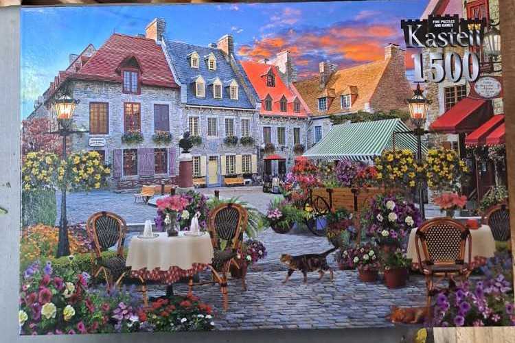 Hanayama AMOUR Lvl 5