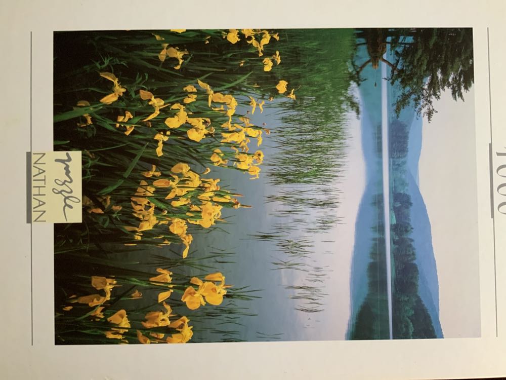 99 Delightful Birds (SOLD)