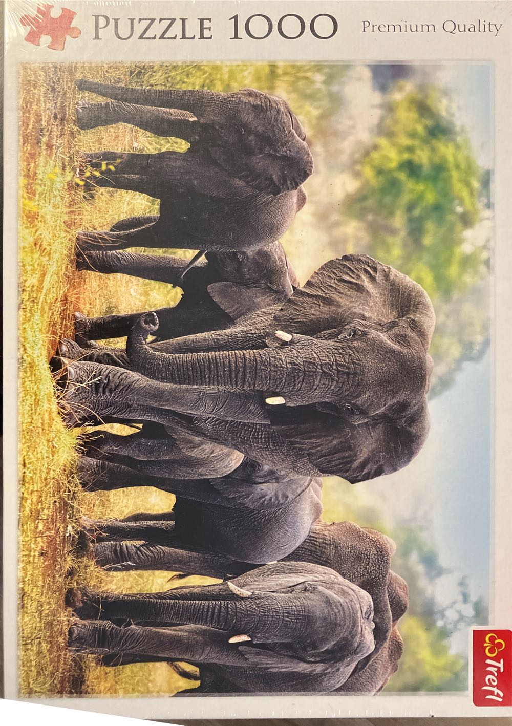 Gezellige Kattenboel