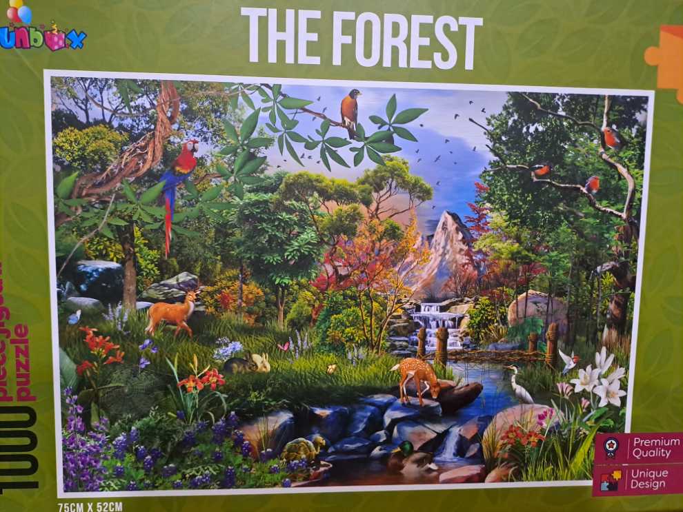The Forest - Funbox puzzle collectible [Barcode 643690102137] - Main Image 1
