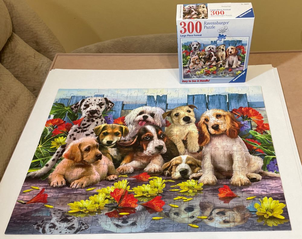 Posing Pups Annie H  - Ravensburger puzzle collectible [Barcode 666273800916] - Main Image 4