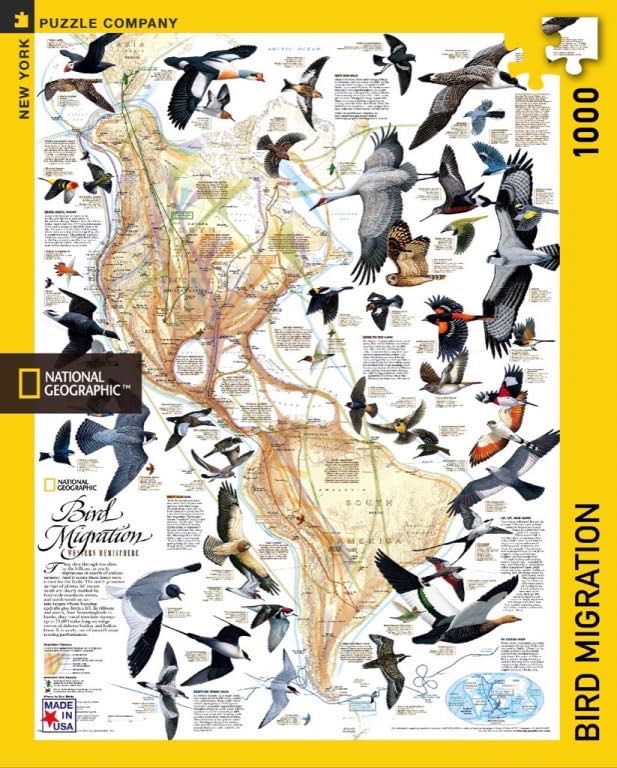National Geographic Bird Migration - New York Puzzle Co. puzzle collectible [Barcode 819844013660] - Main Image 2
