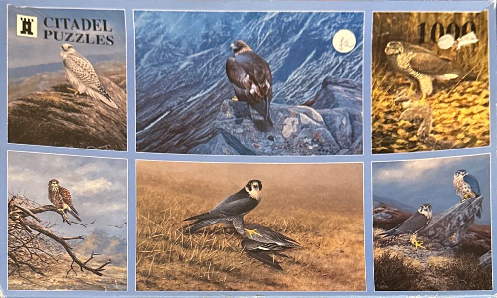 Birds Of Prey - Citadel puzzle collectible [Barcode 5034495000028] - Main Image 1