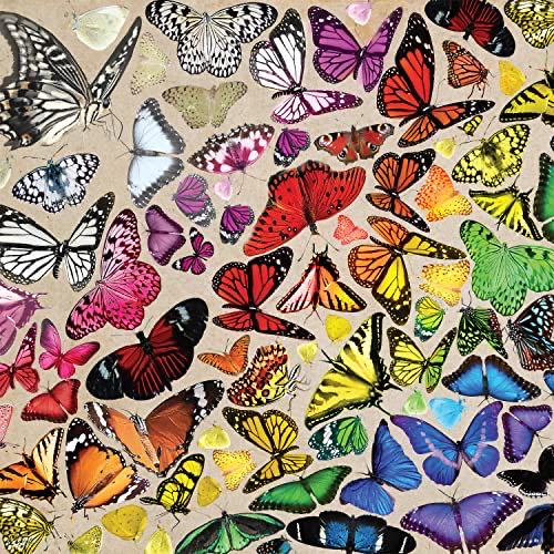 Wintersport, Comic - NEW