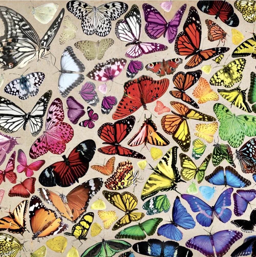 Butterfly Chroma NEWFS - Buffalo puzzle collectible [Barcode 079346227068] - Main Image 2