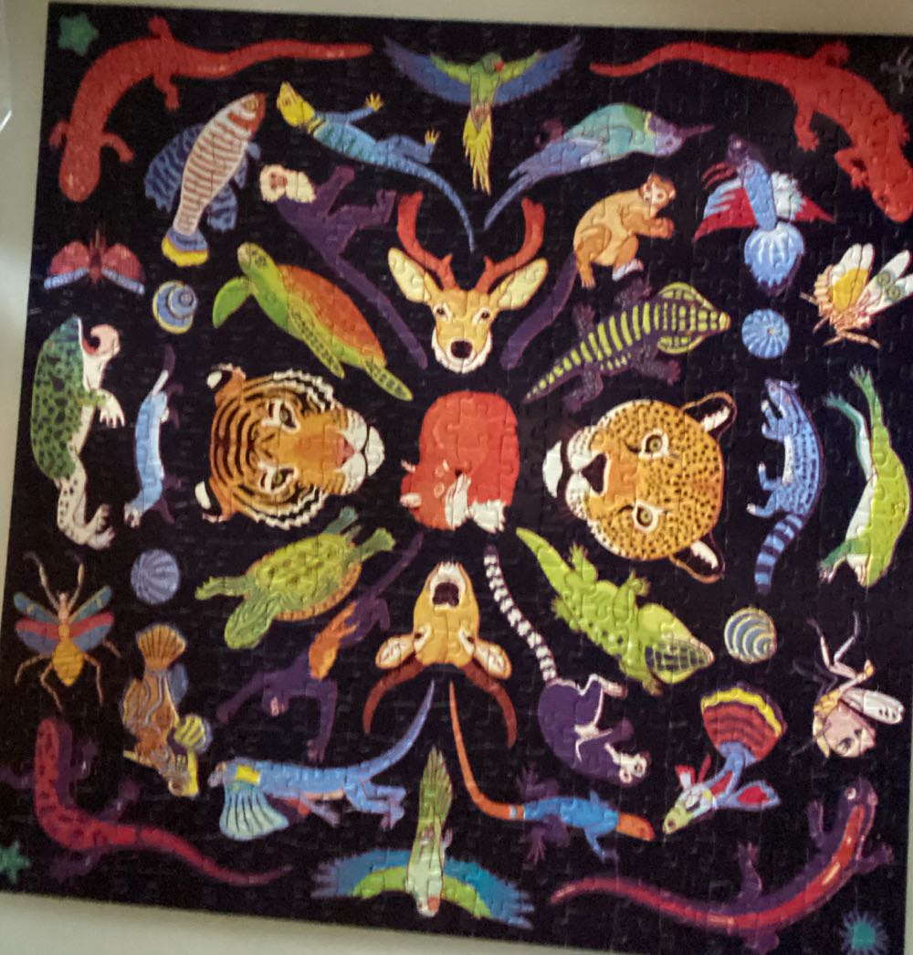 Kaleido-Wild 🆕🚪 - Mudpuppy puzzle collectible [Barcode 9780735369740] - Main Image 2