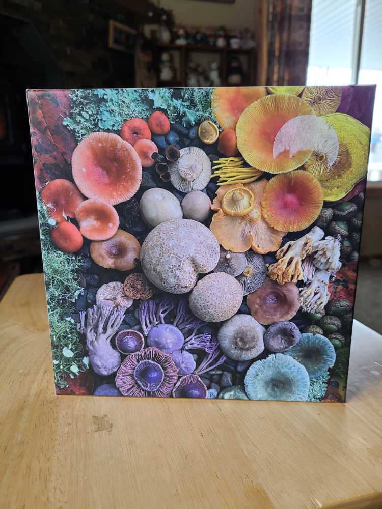 Shrooms In Bloom  - Galison puzzle collectible [Barcode 9780735374959] - Main Image 2