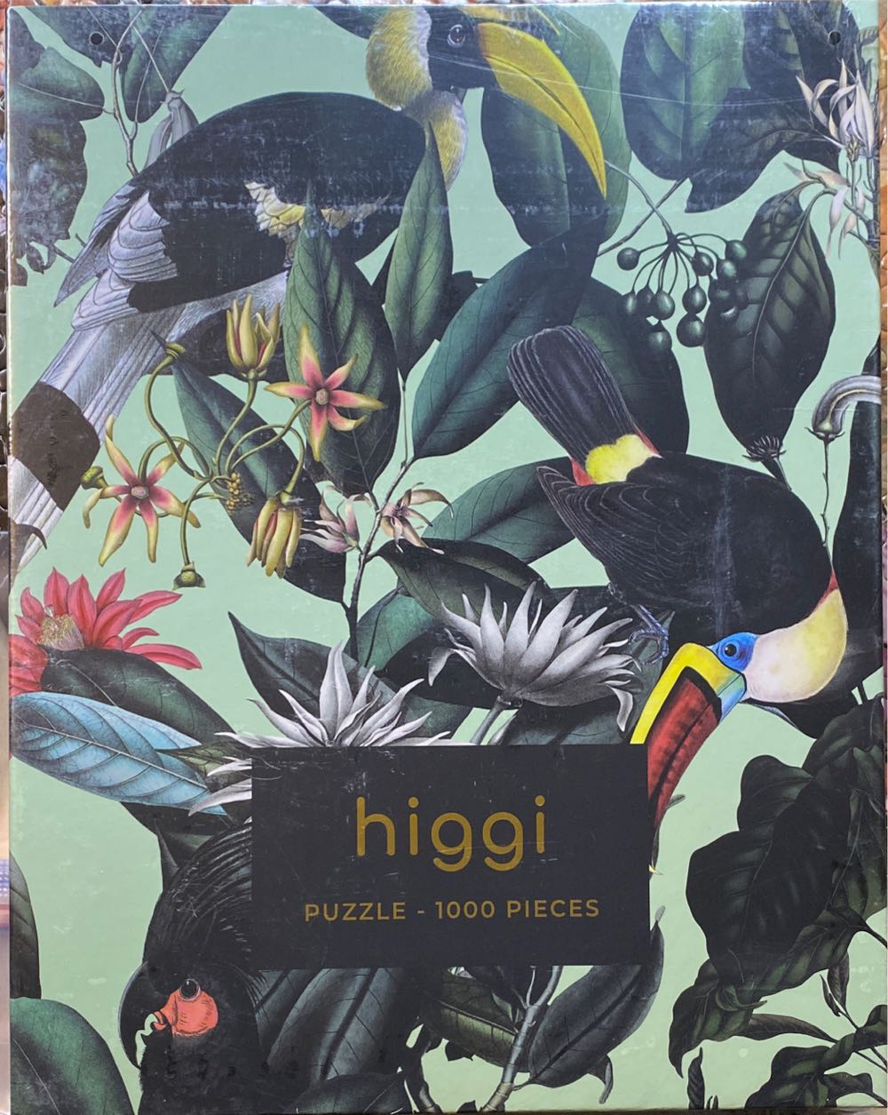 Wild & Whimsical - The Library 🔴