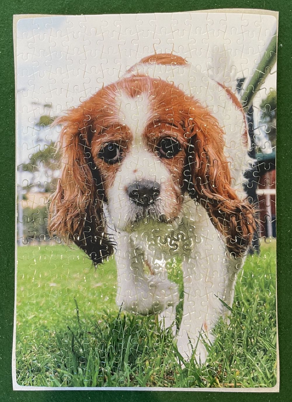 Wonderful World Of Disney 2