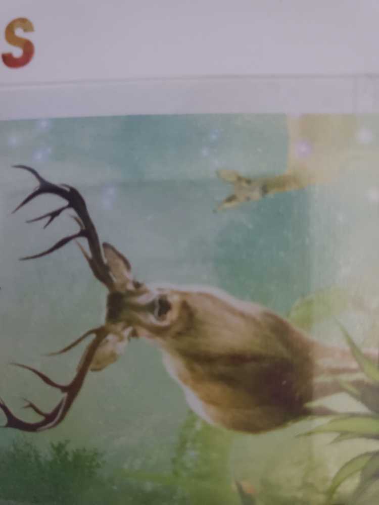 Torri Del Benaco Harbor