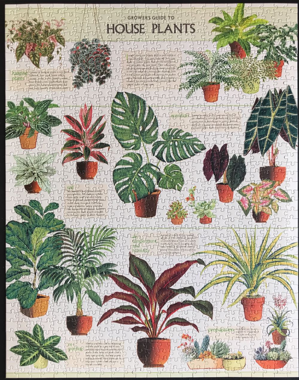 House Plants - Cavallini & Co. puzzle collectible [Barcode 9781635448733] - Main Image 2
