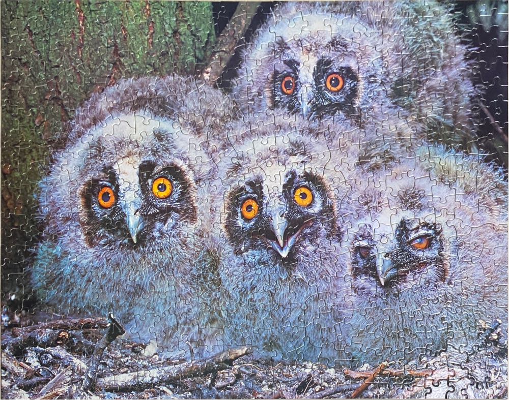 Long-Eared Owls - Eaton puzzle collectible - Main Image 3