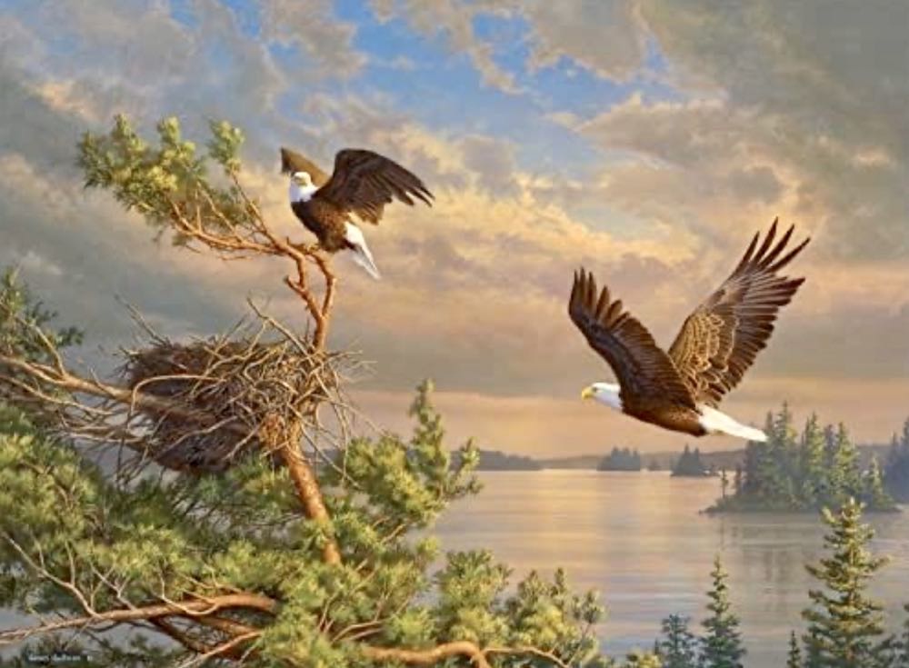 Back to the Nest 🆕 - Buffalo puzzle collectible [Barcode 079346131051] - Main Image 2