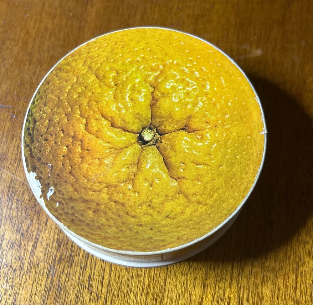 Beetlejuice Handbook For The Recently Deceased Piece