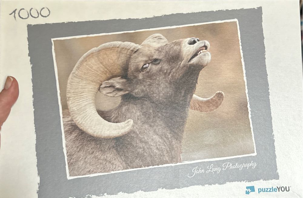 Wentworth Vintage Christmas Poster Design With Owls Santa