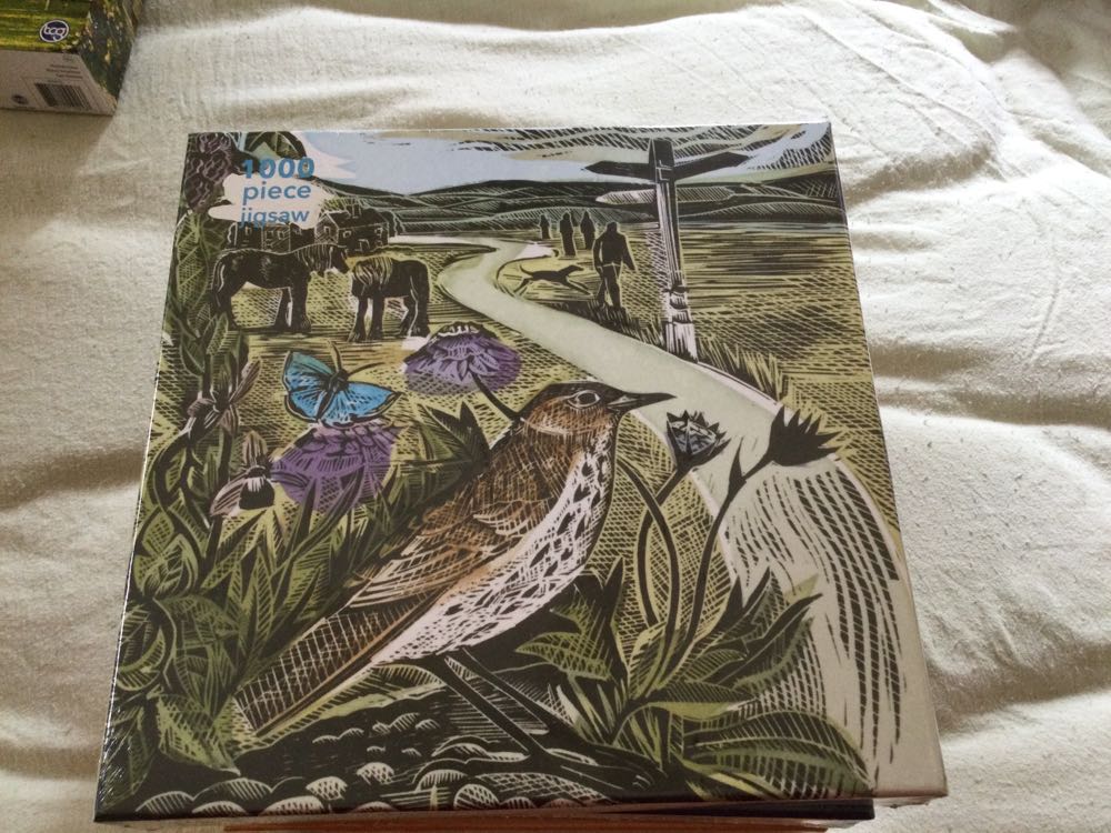 New National Geographic Piece Destinations The Colosseum Rome Italy 2008