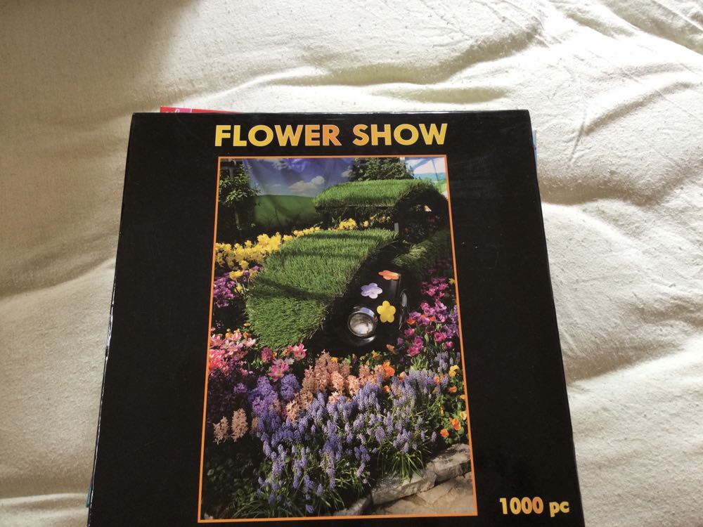 NPR Rooftop Relaxation