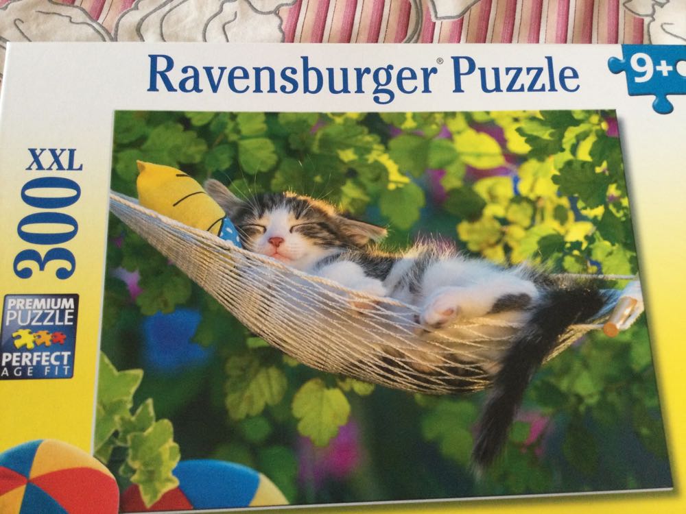 Mickey & Minnie Sweetheart Bridge