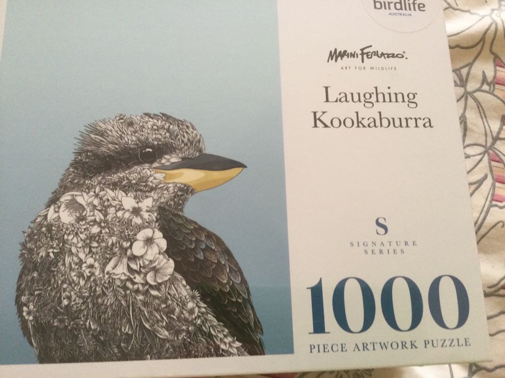 Meguro River Blossoms