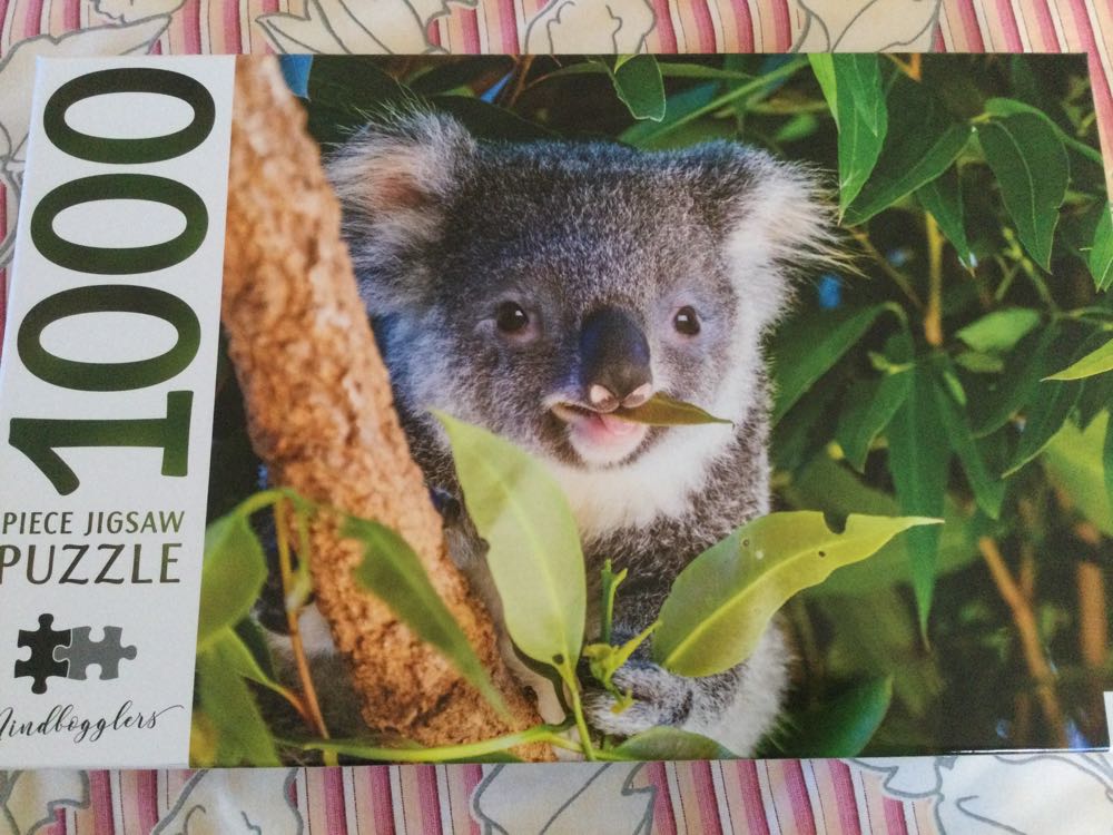 The Japanese Footbridge