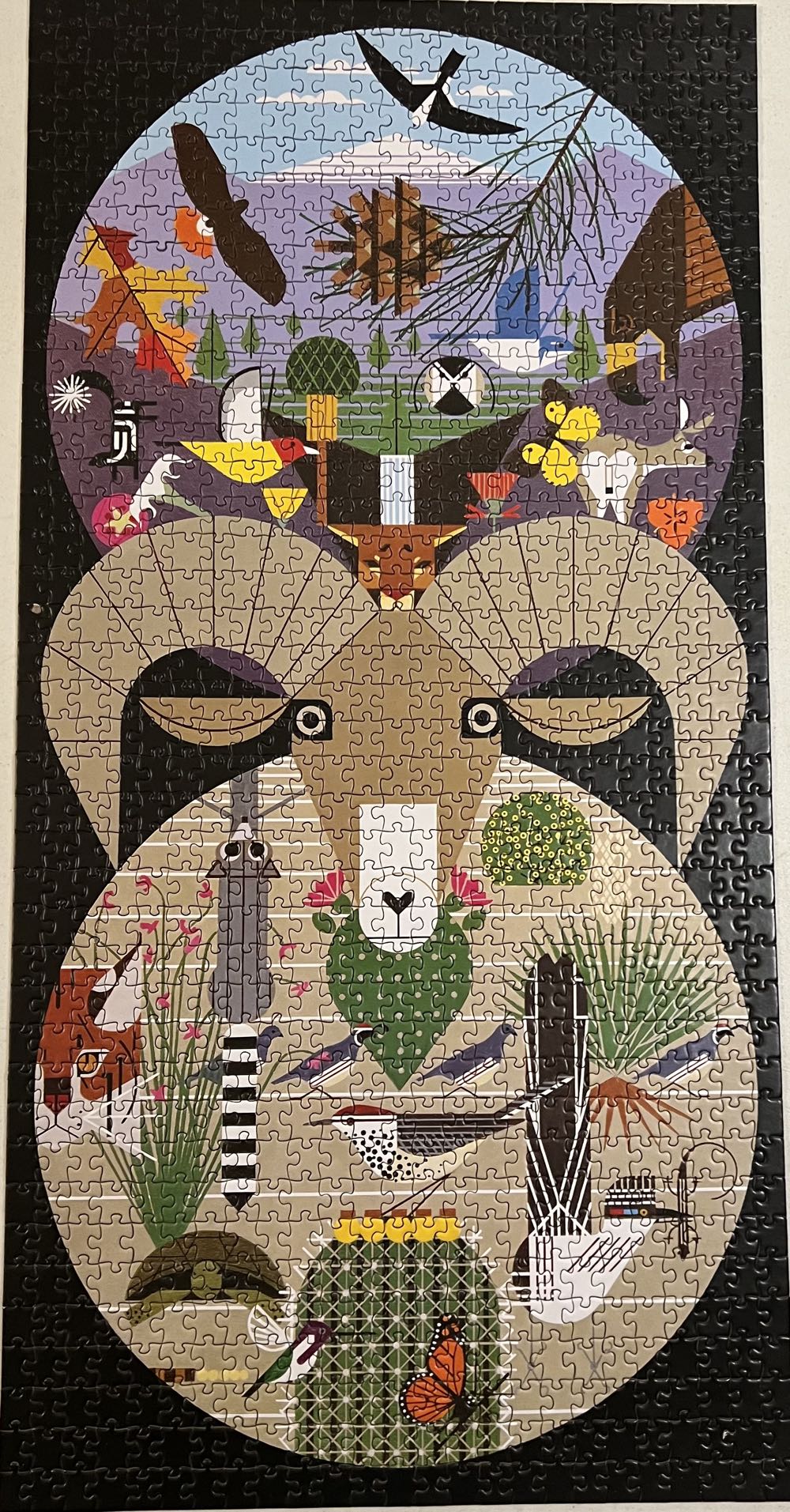 The California Desert Mountains - Pomegranate puzzle collectible [Barcode 717195246457] - Main Image 2