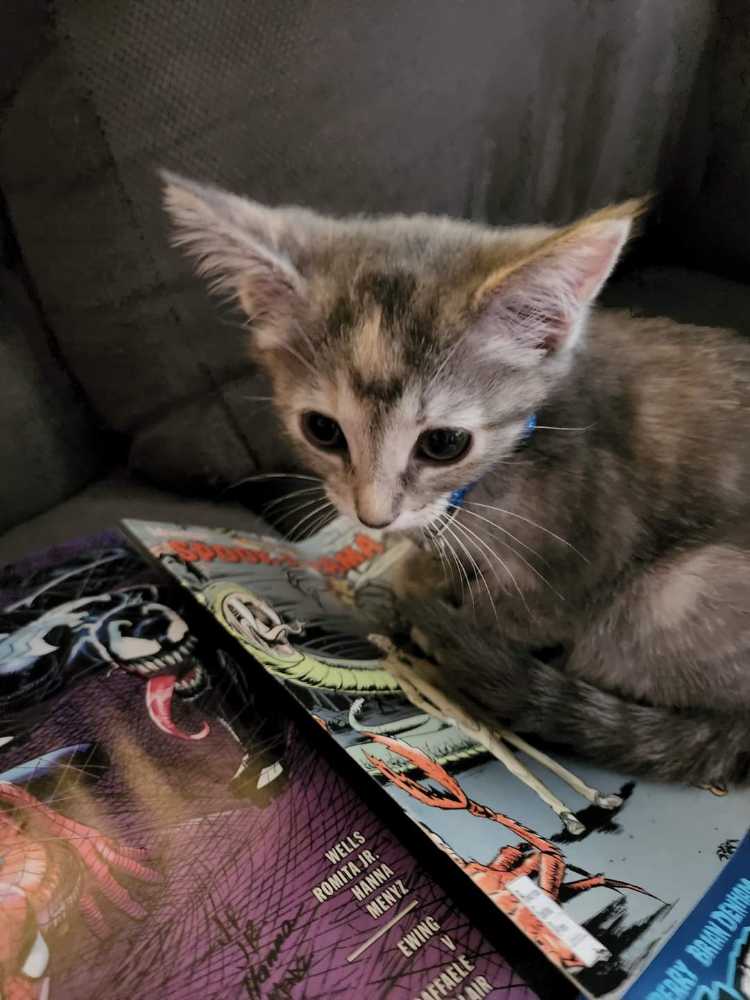 Zz - Breakfast in Bed - Gone - Buffalo Games puzzle collectible - Main Image 4