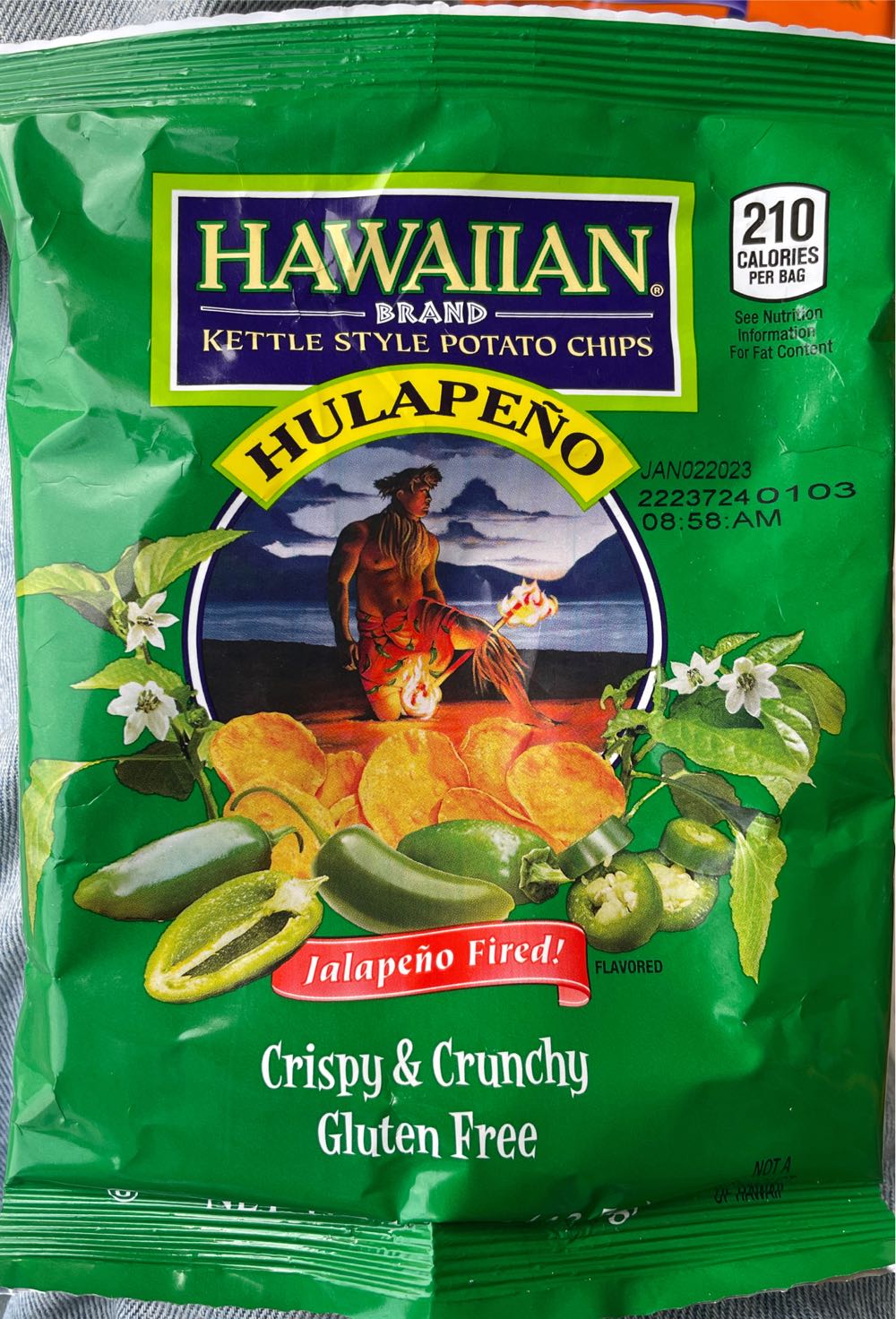 Greatest Bookshop In The World