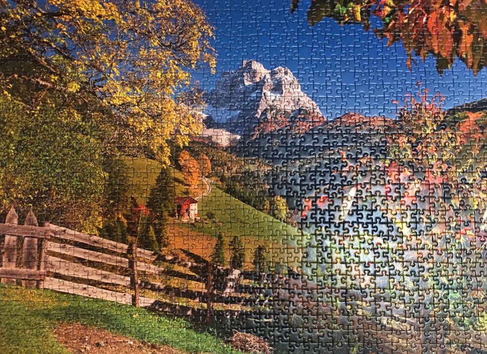 Birds And Birdhouses