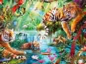 Grimm’s Fairy Tales