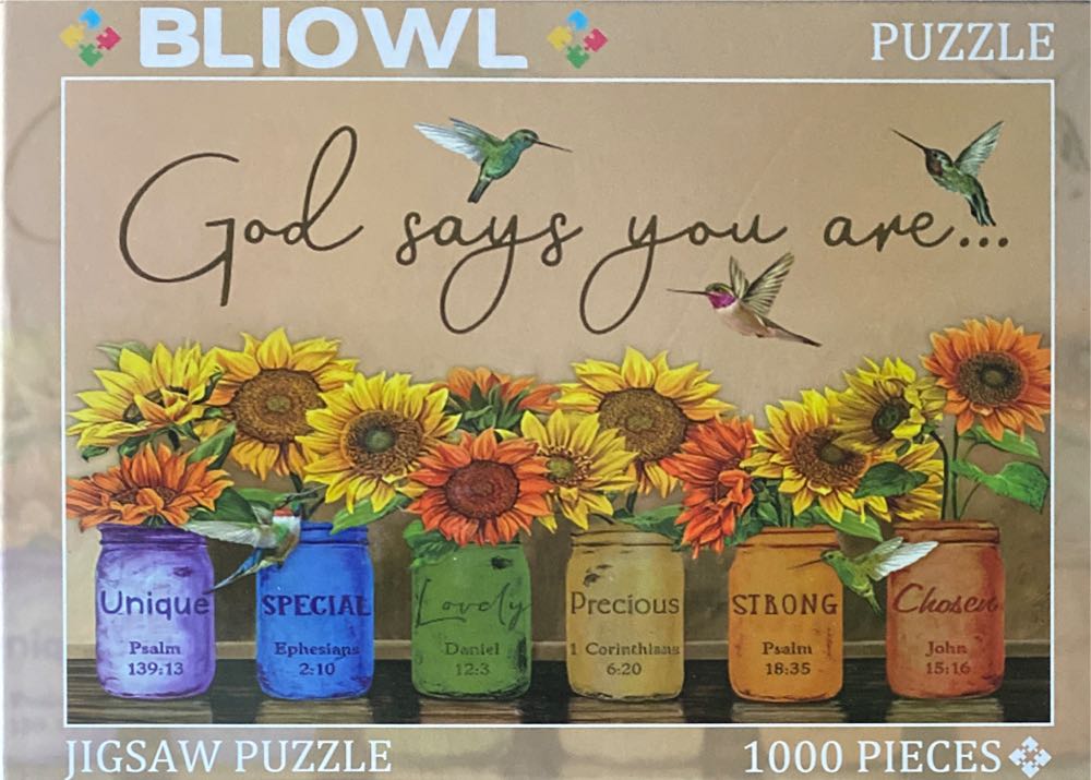 Rainbow Lorikeet NEW