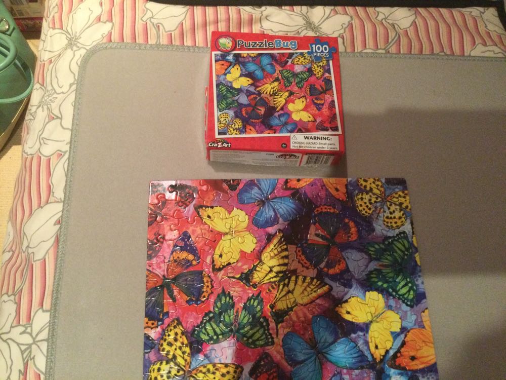 190645 Flowers In A Terracotta Vase