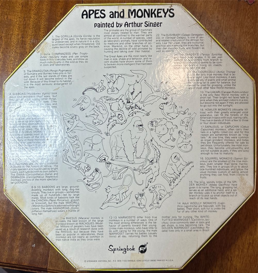 Apes and Monkeys - Octagon - Springbok puzzle collectible - Main Image 2