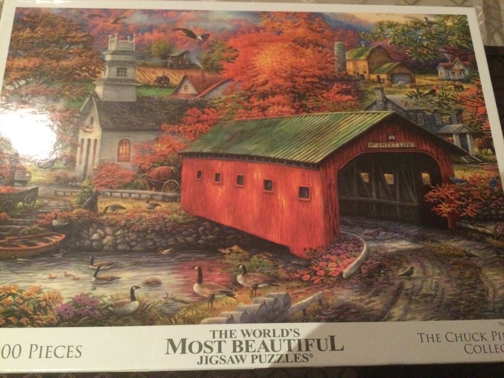 See You Again After A Life Long Journey