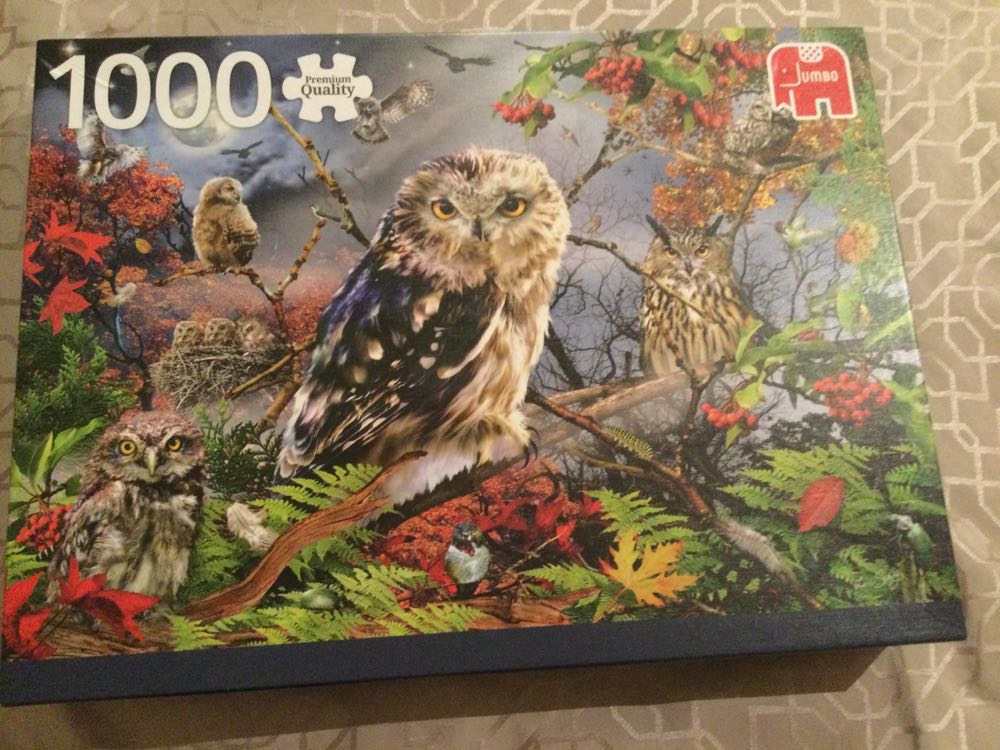 Wasgij Destiny 11 Het Buro