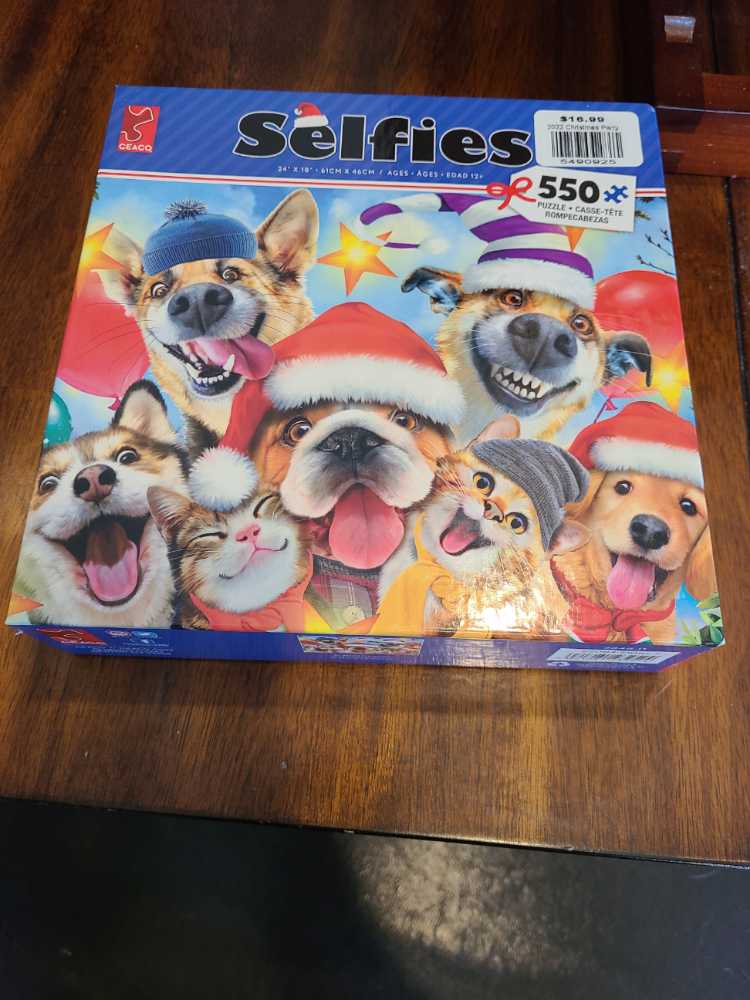 Impossipuzzle Camper Van