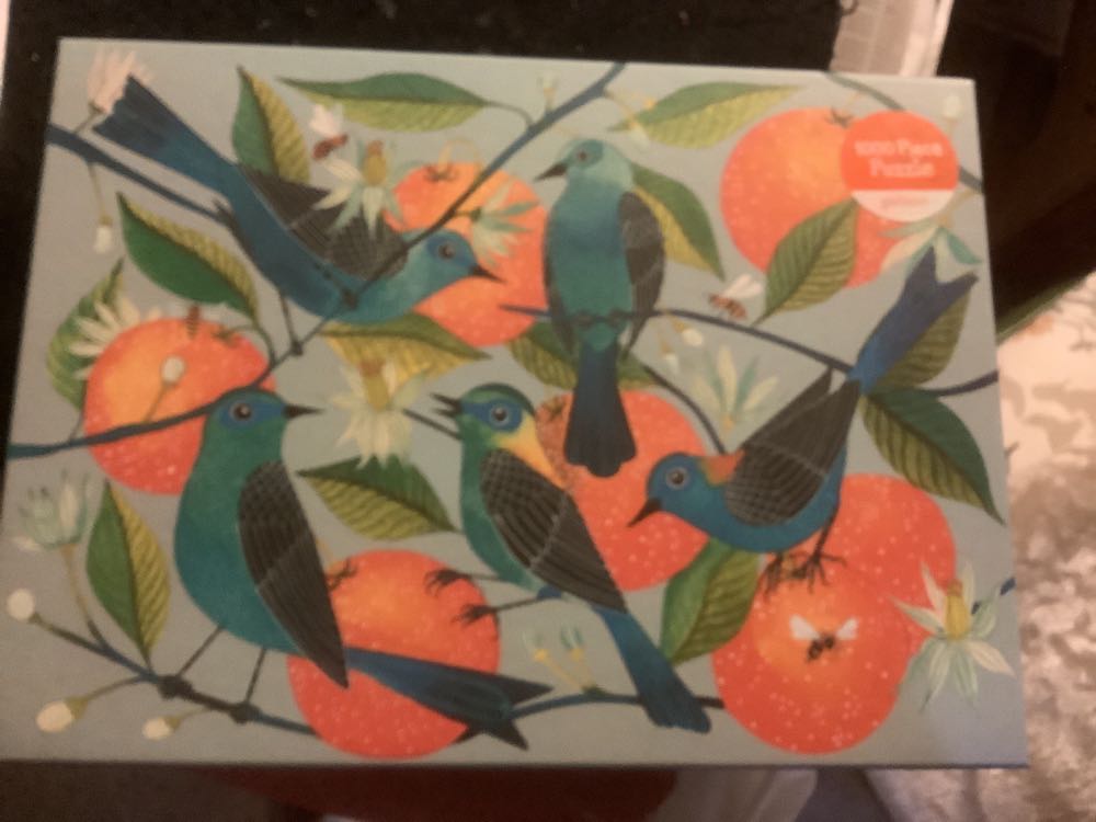 Holiday Cats and Dogs