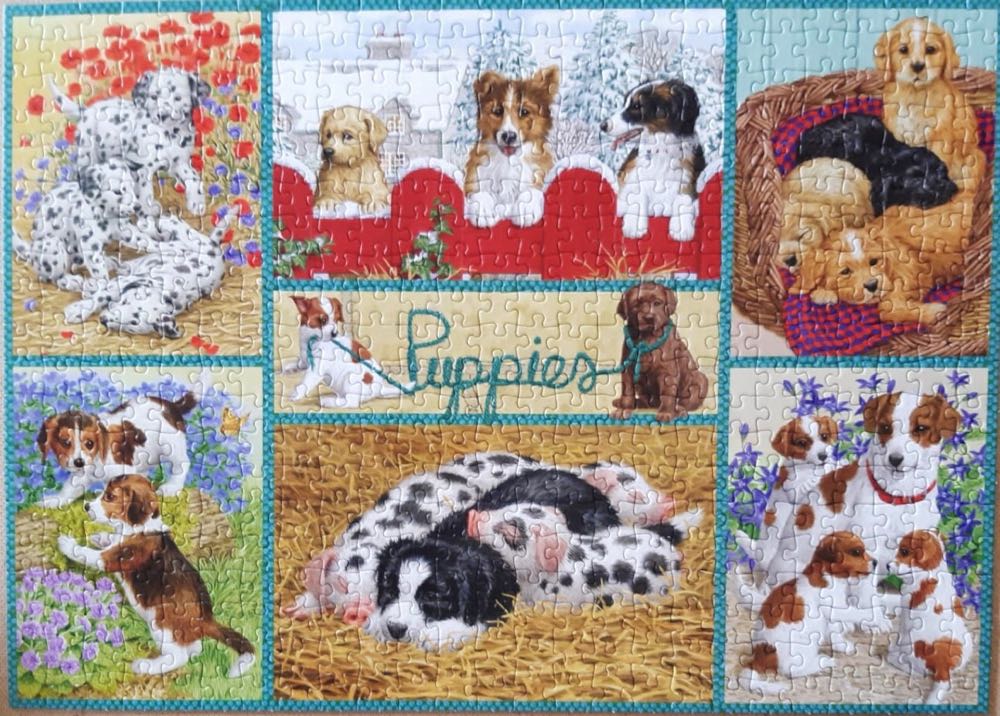 Happy Puppies - Falcon de luxe puzzle collectible [Barcode 8710126112199] - Main Image 3